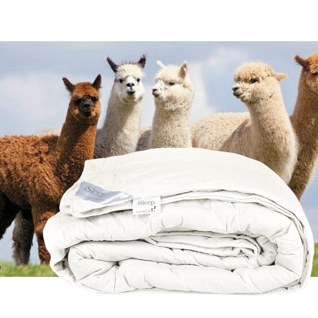 dekbedden alpacawol