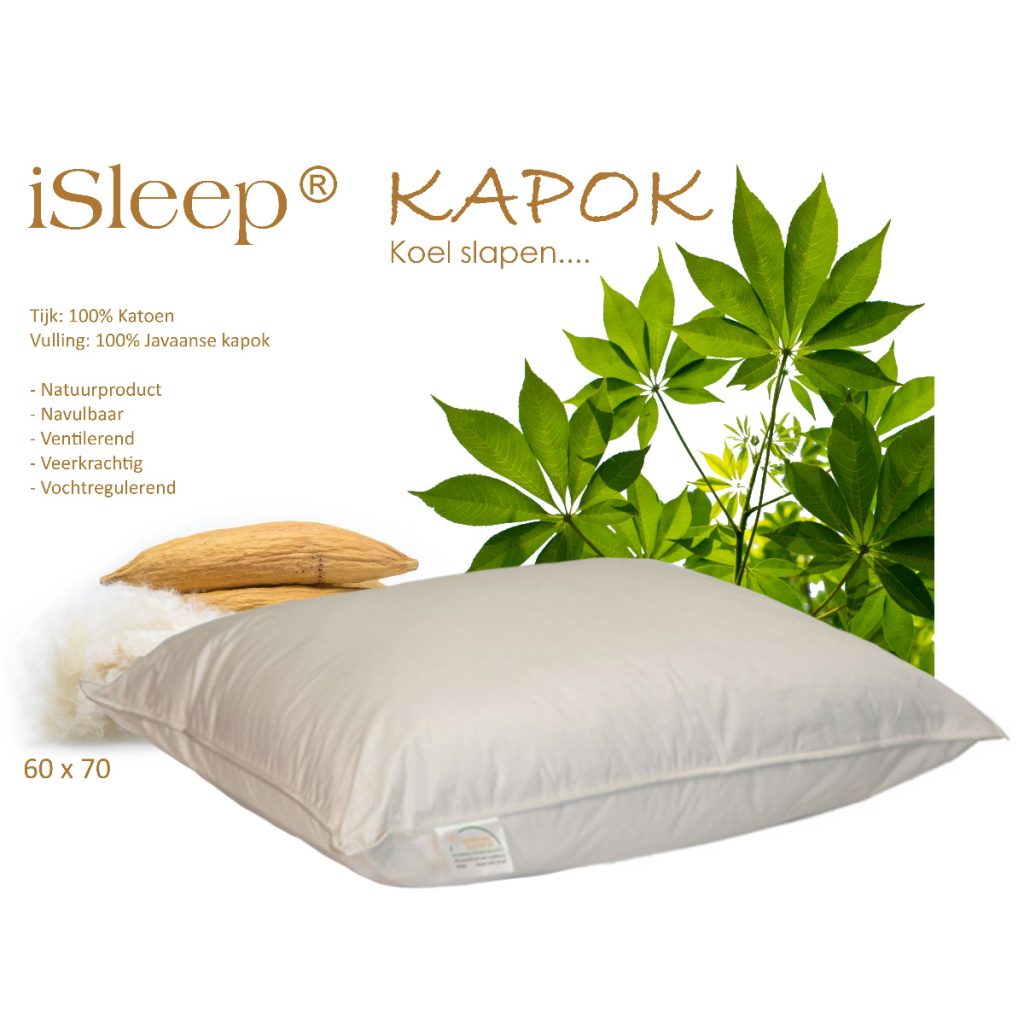 hoofdkussens kapok