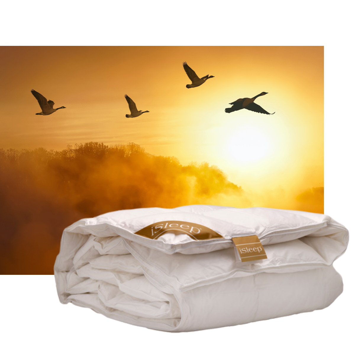 iSleep-DonsGoldEnkel-1